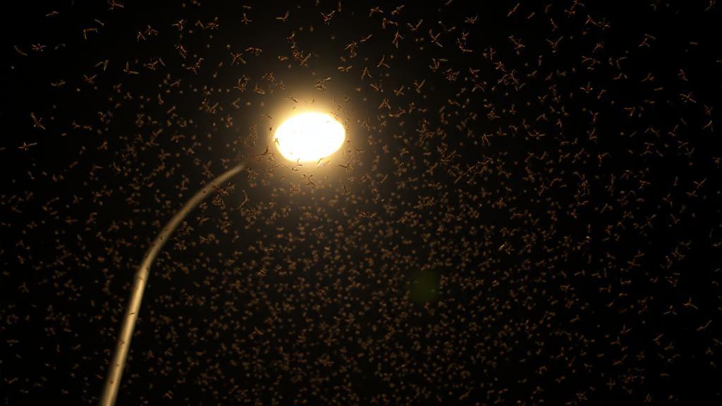 A swarm of flying termites illuminated by a streetlight against a dark night sky.